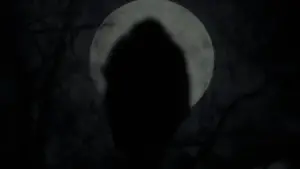 Задник до фильму"Відьма" #600202