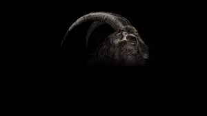 Задник до фильму"Відьма" #600302