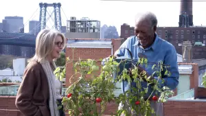 Задник до фильму"Рут і Алекс" #388063