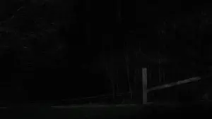 Задник до фильму"" #409651