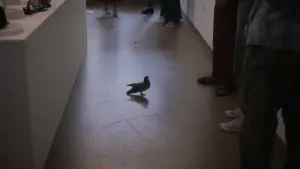 Задник до фильму"Поява" #811604