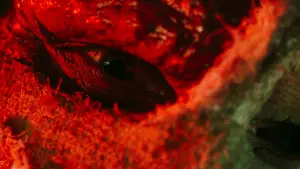 Задник до фильму"Людина пітьми" #672397