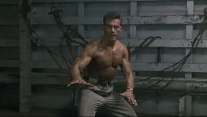 Задник до фильму"Подвійний удар" #808235