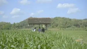 Задник до фильму"Memang Kalian Tahu Apa?" #824868