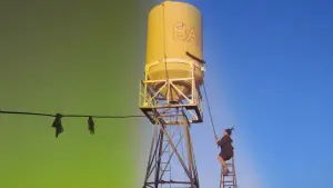 Задник до фильму"" #230498