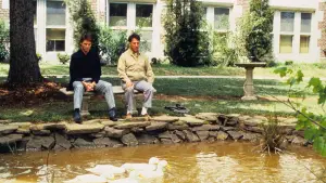 Задник до фильму"Людина дощу" #639797