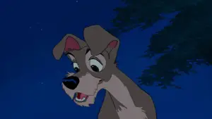 Задник до фильму"Леді та Блудько" #629696