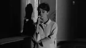 Задник до фильму"Шарада" #723059