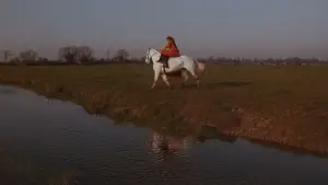 Задник до фильму"" #649240