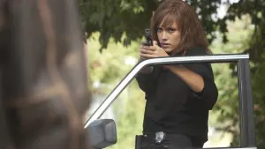 Задник до фильму"Мачете" #323013