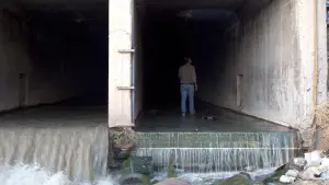 Задник до фильму"" #368934