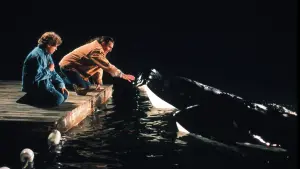 Звільніть Віллі 2. Нова пригода