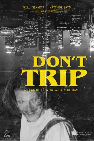 Постер до фильму"Don