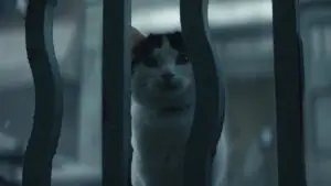 Задник до фильму"Тихе місце: День перший" #563332