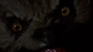 Задник до фильму"Американський перевертень у Лондоні" #701839