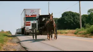 Задник до фильму"Свідок" #672977