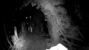 Задник до фильму"" #540187