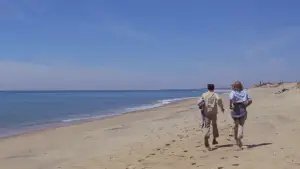 Задник до фильму"Щелепи" #768206