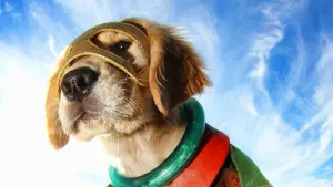 Задник до фильму"" #439144