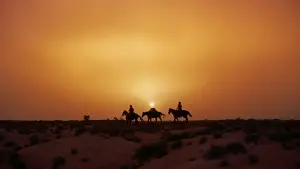 Задник до фильму"Шукачі" #713484