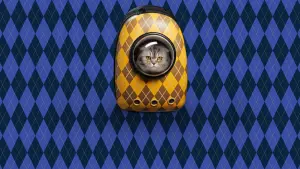 Задник до фильму"Арґайл" #170842