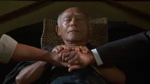 Задник до фильму"Малюк-каратист 2" #670632