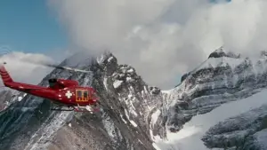 Задник до фильму"Ейс Вентура: Поклик природи" #808871