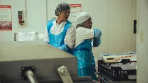 Задник до фильму"" #366290