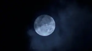 Задник до фильму"Хижак" #559781