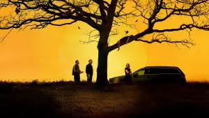 Задник до фильму"" #662638