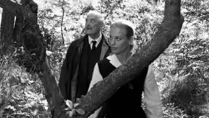 Задник до фильму"Сунична галявина" #750356