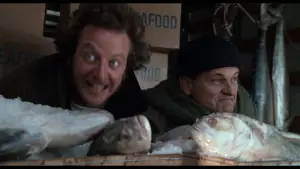 Задник до фильму"Сам удома 2: Загублений у Нью-Йорку" #566969