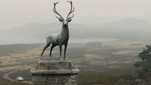 Задник до фильму"007: Координати Скайфолл" #771043