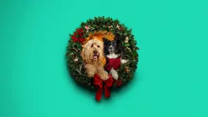 Задник до фильму"Happy Howlidays" #931397