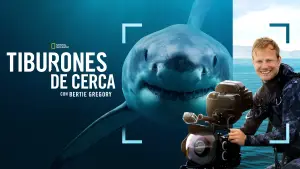 Задник до фильму"Sharks Up Close with Bertie Gregory" #793012
