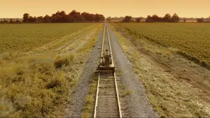 Задник до фильму"О, де ж ти, брате?" #681435