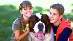 Задник до фильму"Бетховен 4" #490255