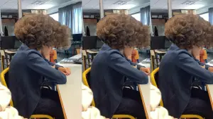 Задник до фильму"Morlaix" #775411