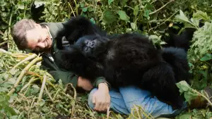 Задник до фильму"A Gorilla Story: Told by David Attenborough" #832787