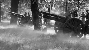 Задник до фильму"Сунична галявина" #750355