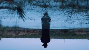 Відео до фільму A Short Story | A Short Story | Trailer | Film Fest Gent 2022