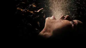 Задник до фильму"Noseeums" #787705