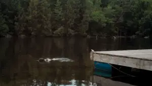 Задник до фильму"" #622176