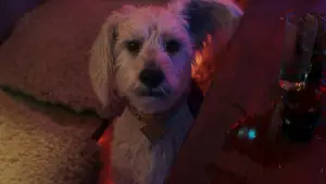 Задник до фильму"Суперґьорл" #605160