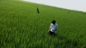 Задник до фильму"リリイ・シュシュのすべて" #788193