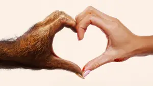 Задник до фильму"" #683836