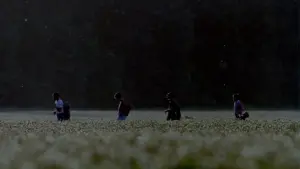 Задник до фильму"Залишся зі мною" #503528