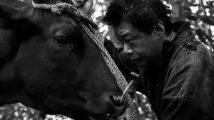 Задник до фильму"" #543240