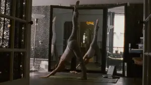 Задник до фильму"Чорний лебідь" #595701