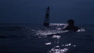 Задник до фильму"Щелепи" #768204